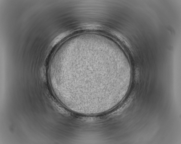 X0000110860970200907021412