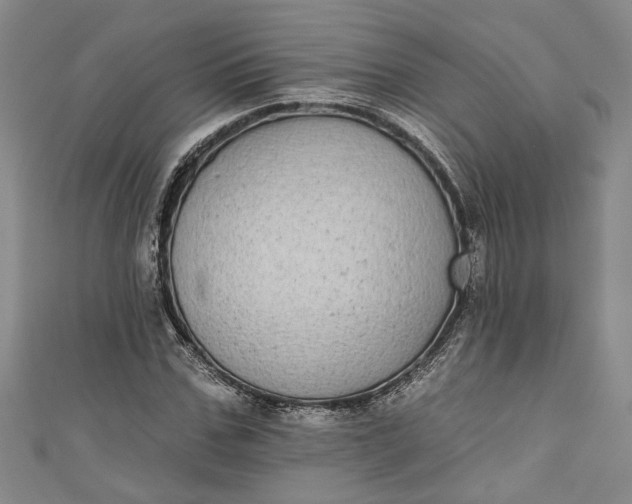 X0000110860971200907021412