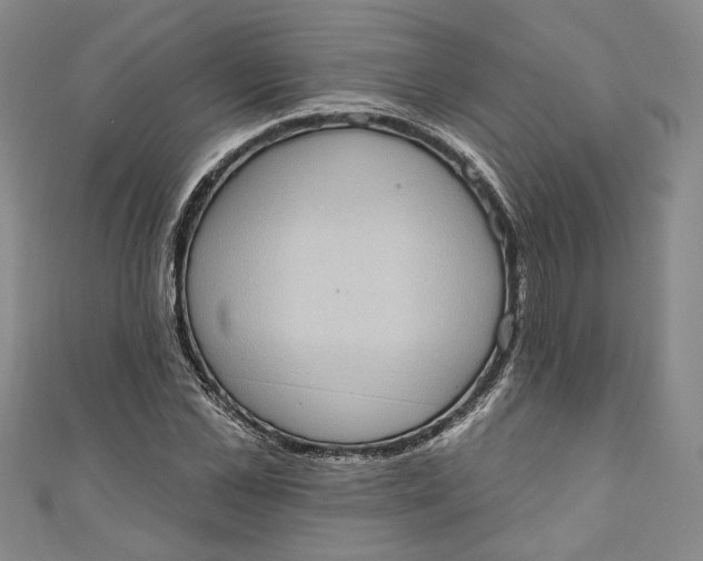 X0000110860973200907021412