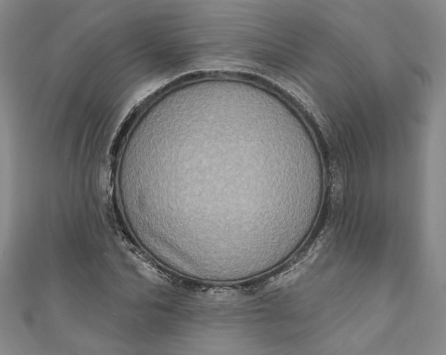 X0000110860974200907021412