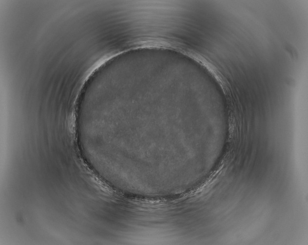 X0000110860975200907021412