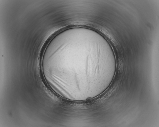 X0000110860976200907021412