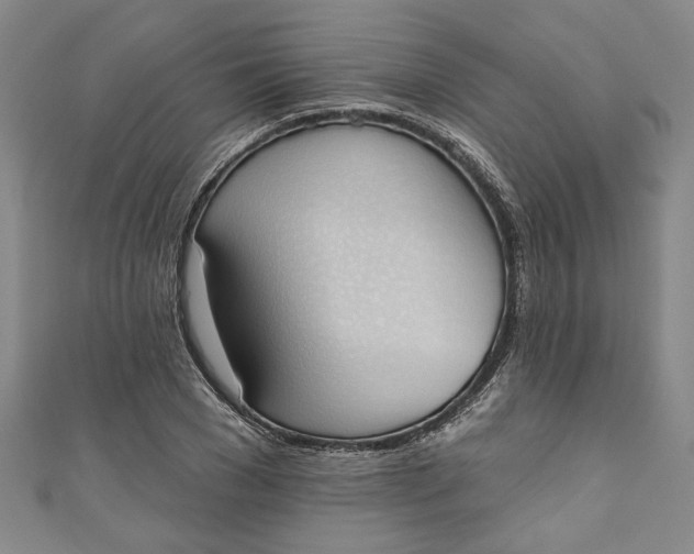 X0000110860977200907021412