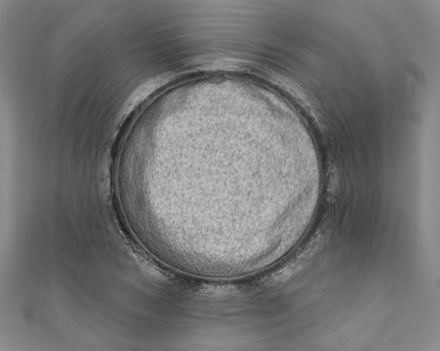 X0000110860978200907021412