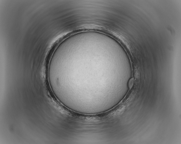 X0000110860979200907021412