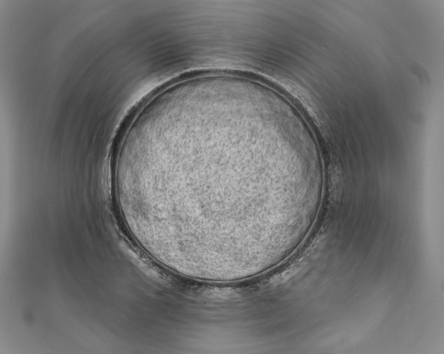 X0000110860982200907021412