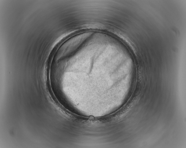 X0000110860983200907021412