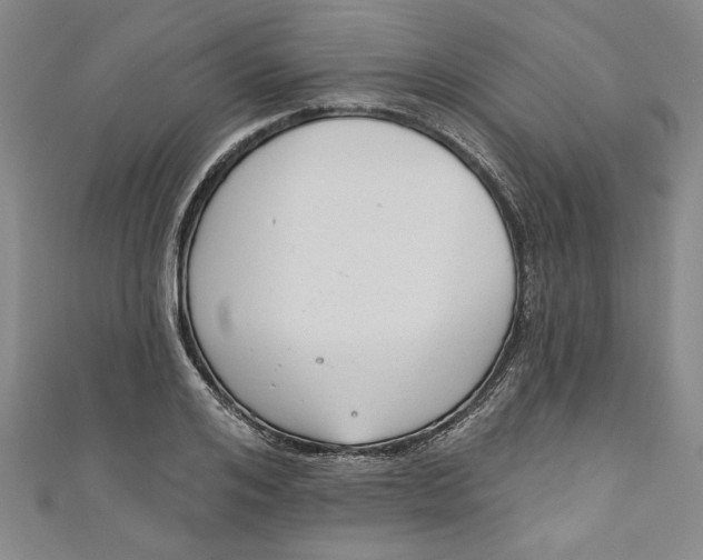 X0000110860984200907021412