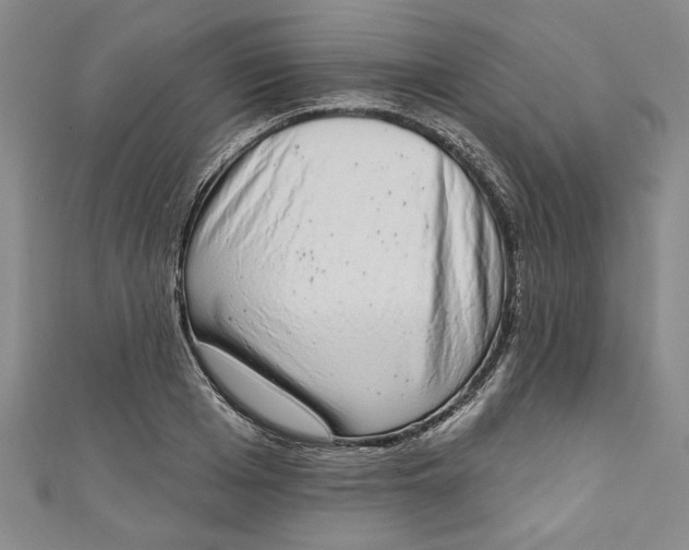 X0000110860985200907021412