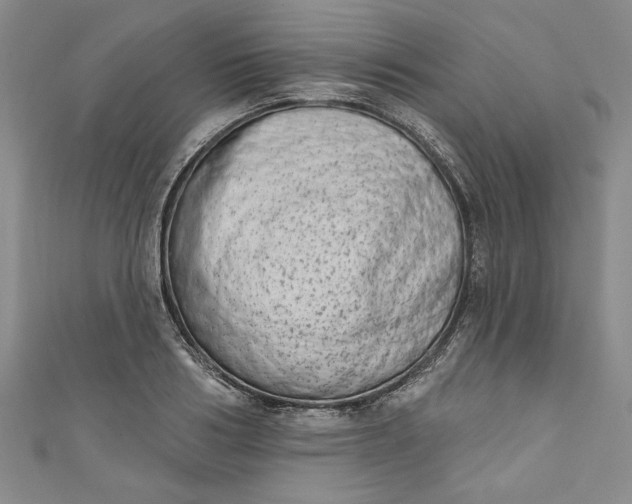 X0000110860986200907021412