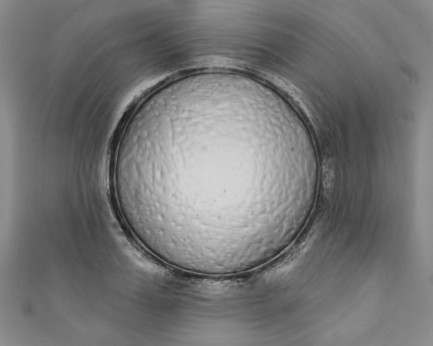 X0000110860987200907021412