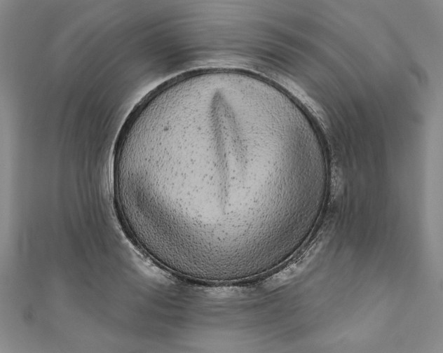 X0000110860988200907021412