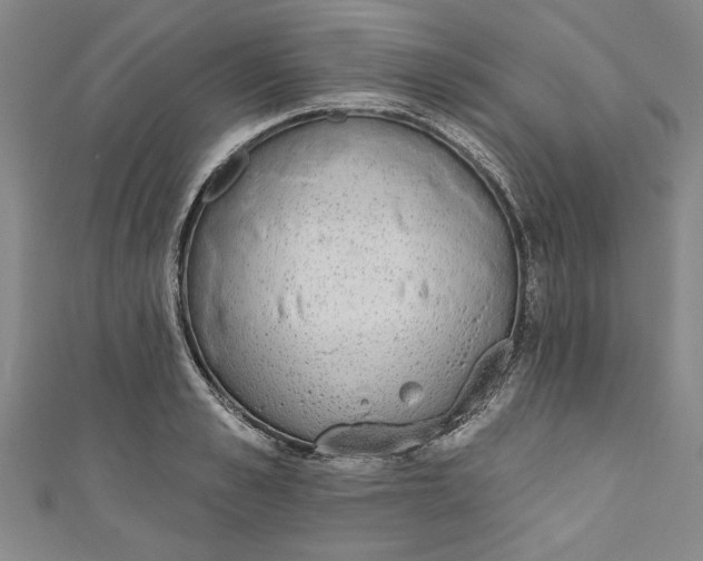 X0000110860989200907021412