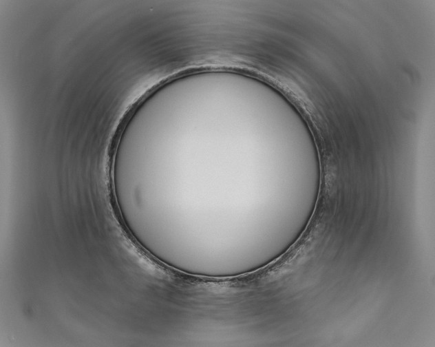 X0000110860990200907021412