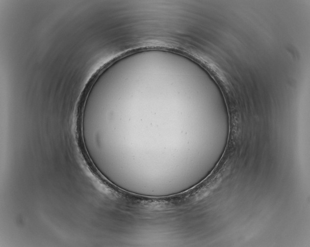 X0000110860991200907021412