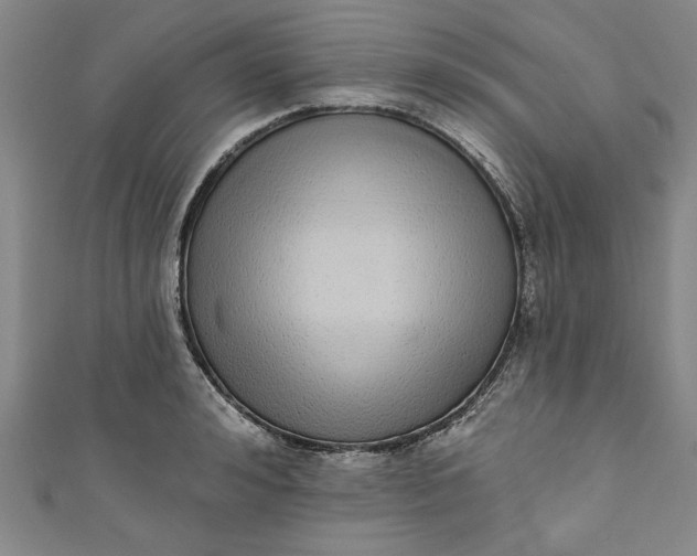 X0000110860992200907021412