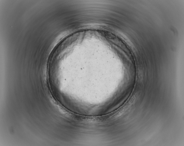 X0000110860994200907021412