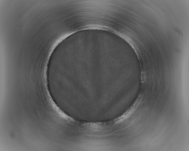 X0000110860995200907021412