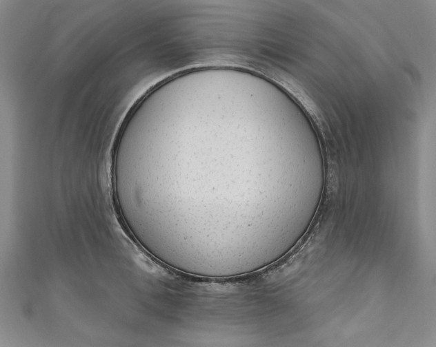 X0000110860996200907021412