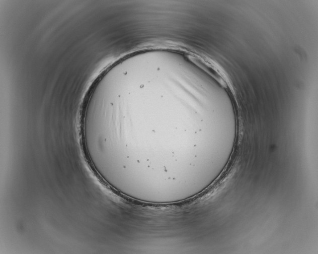 X0000110860997200907021412