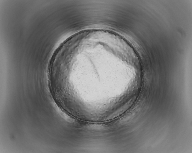 X0000110860998200907021412