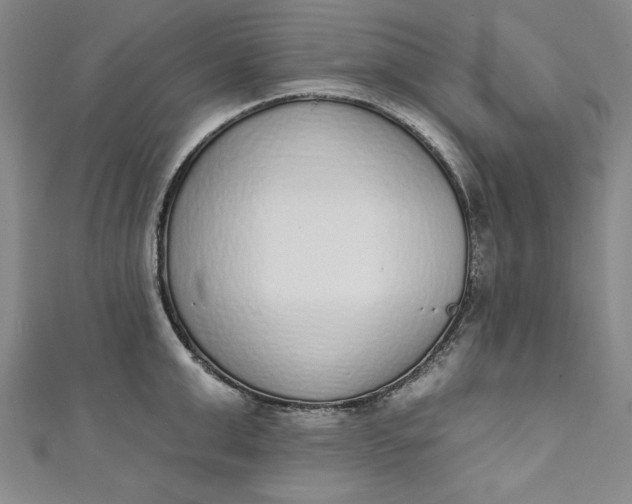 X0000110860999200907021412