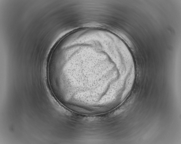 X0000110861000200907021412