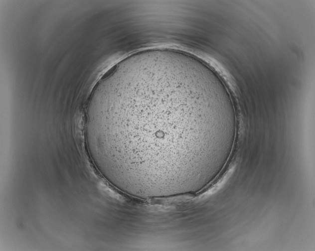 X0000110861001200907021412