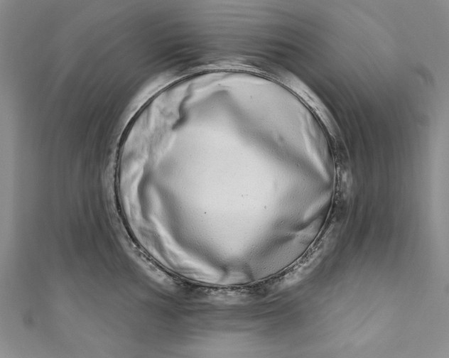 X0000110861002200907021412