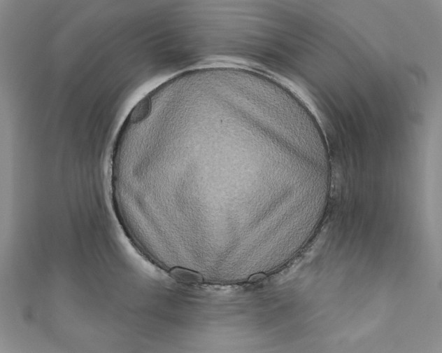 X0000110861003200907021412