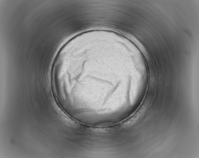 X0000110861004200907021412