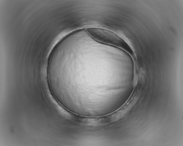 X0000110861005200907021412