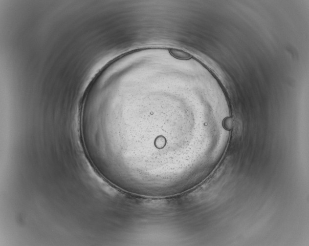 X0000110861006200907021412