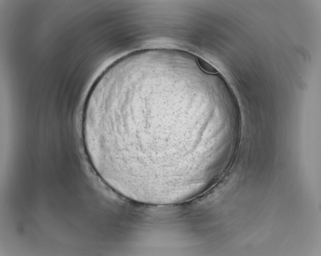 X0000110861008200907021412