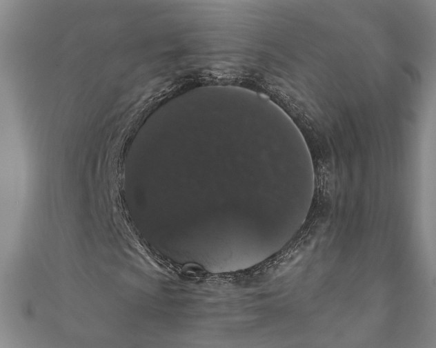 X0000110861009200907021411