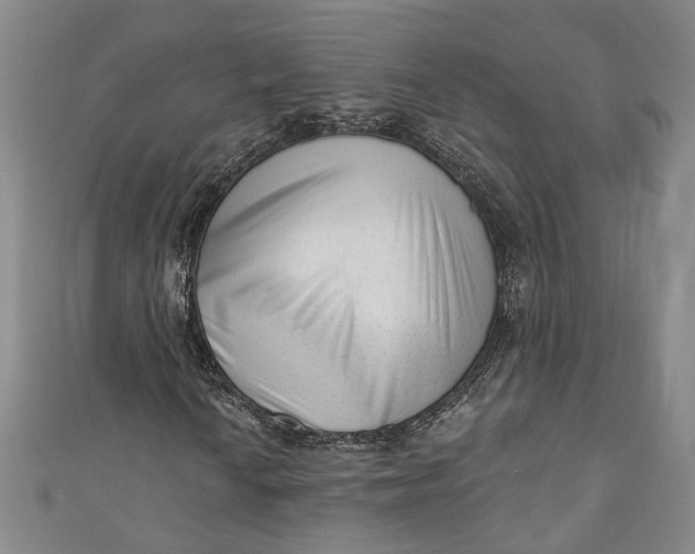 X0000110861010200907021411