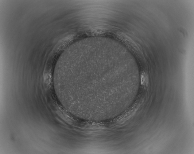 X0000110861011200907021411