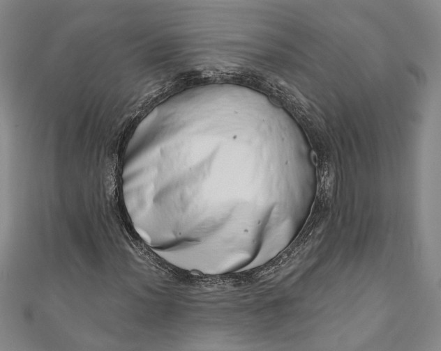 X0000110861012200907021411