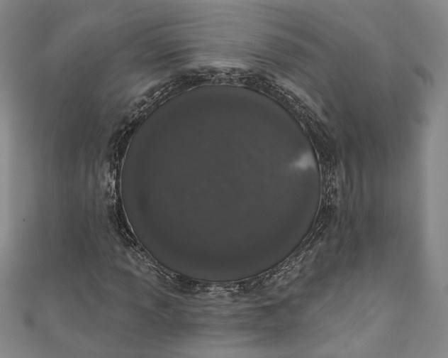 X0000110861013200907021411