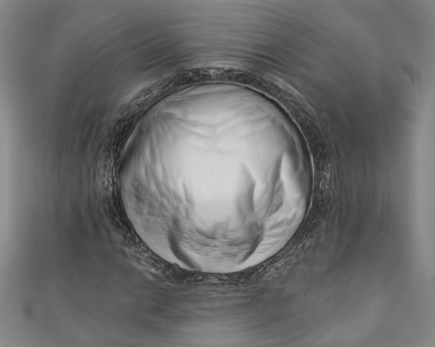 X0000110861014200907021411