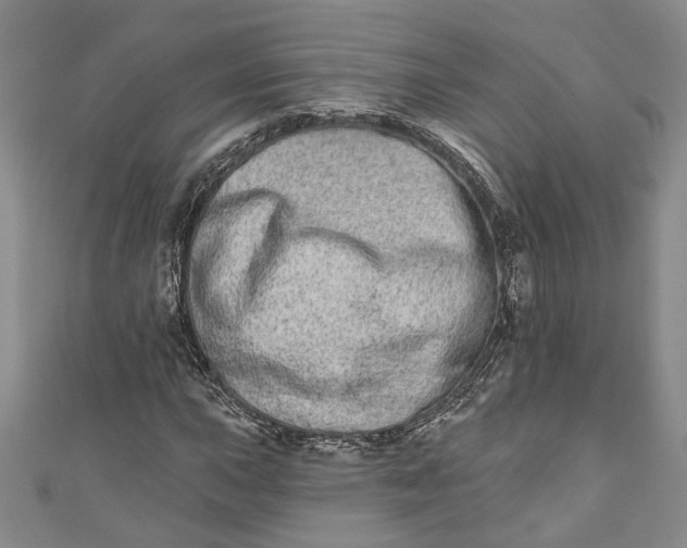 X0000110861015200907021411