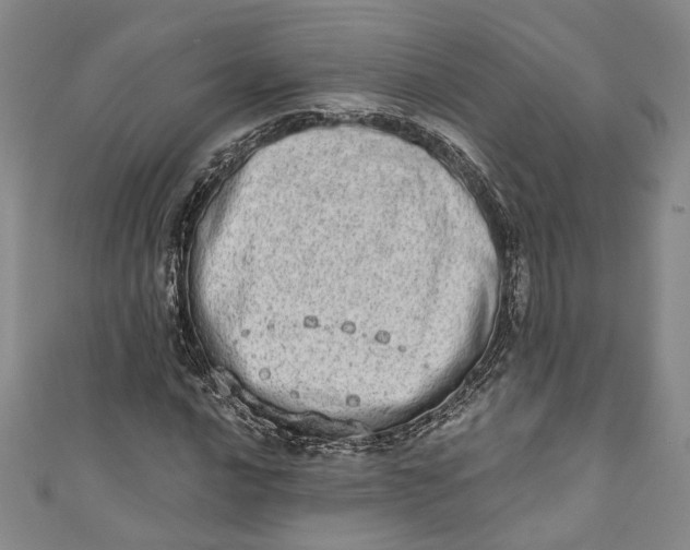 X0000110861016200907021411