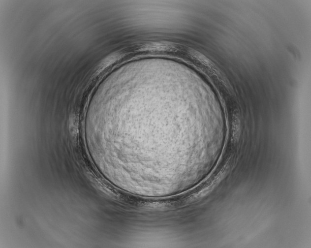 X0000110861017200907021411