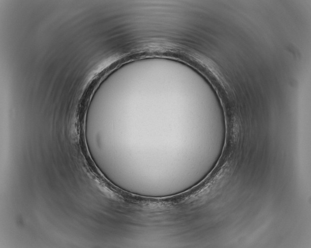 X0000110861018200907021411