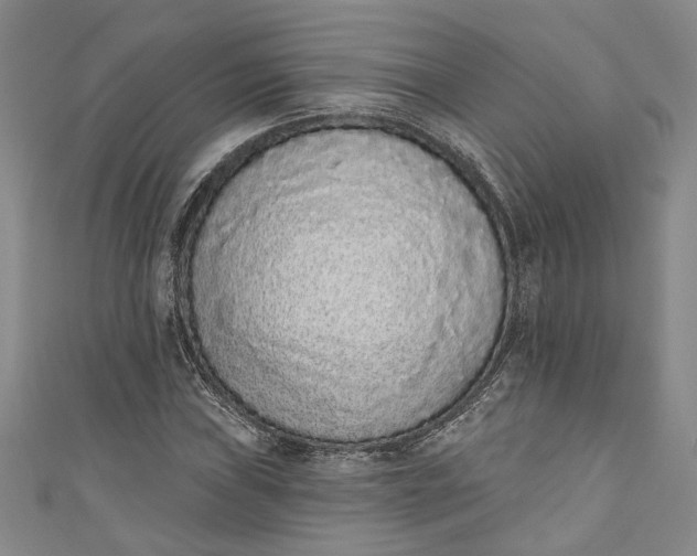 X0000110861019200907021411