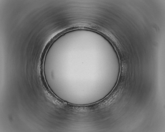 X0000110861020200907021411