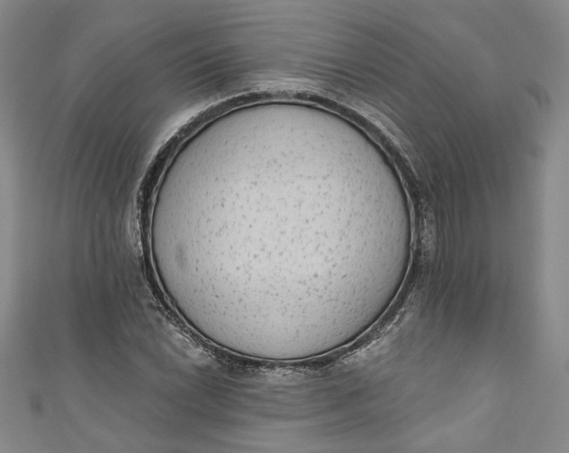 X0000110861022200907021411