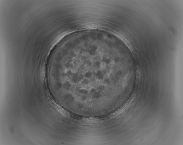 X0000110861023200907021411