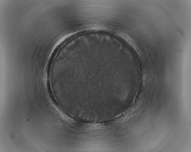 X0000110861024200907021411