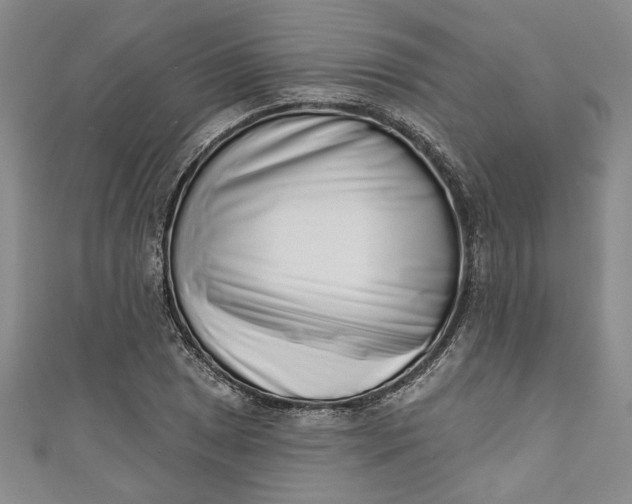 X0000110861025200907021411